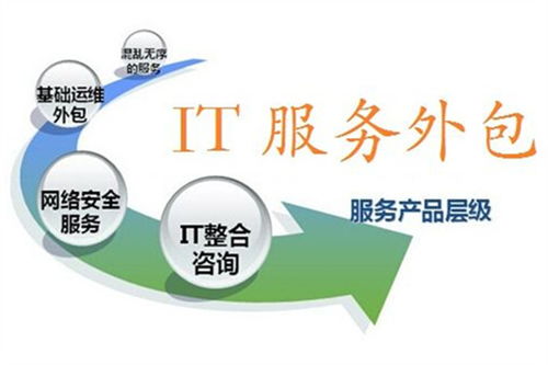 軟件外包服務(wù)市場(chǎng) 邁向?qū)I(yè)化與高價(jià)值的技術(shù)服務(wù)新紀(jì)元