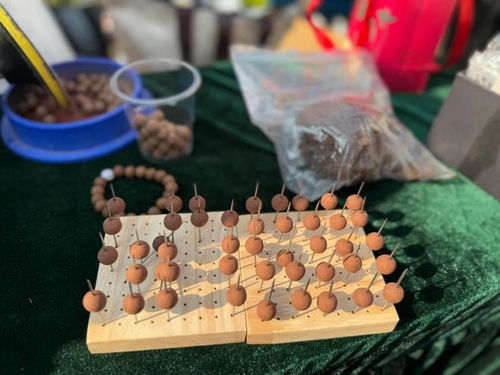 今日小雪，寶山健康廟會(huì)引領(lǐng)養(yǎng)生新潮流 中醫(yī)美式咖啡與中藥手串共舞