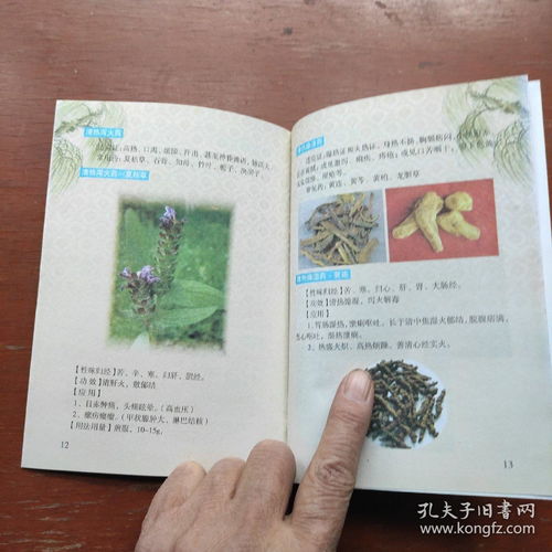 《中醫(yī)養(yǎng)生保健服務(wù)指南 婦女、高血壓及中醫(yī)基礎(chǔ)三冊(cè)精要》